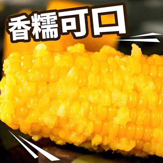 New arrivals of the season: Northeast yellow sweet glutinous corn on the cob vacuum-packed low-fat yellow waxy big stick sweet Northeast sticky corn yellow waxy corn 120-160g 3 sticks