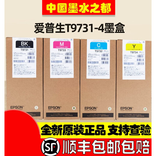 Epson 869 Ink Bag PXS7070 M7070WFC869RA T9731 T9741 Tintenpatronen Neue T9733 Magenta (192,4 ml)