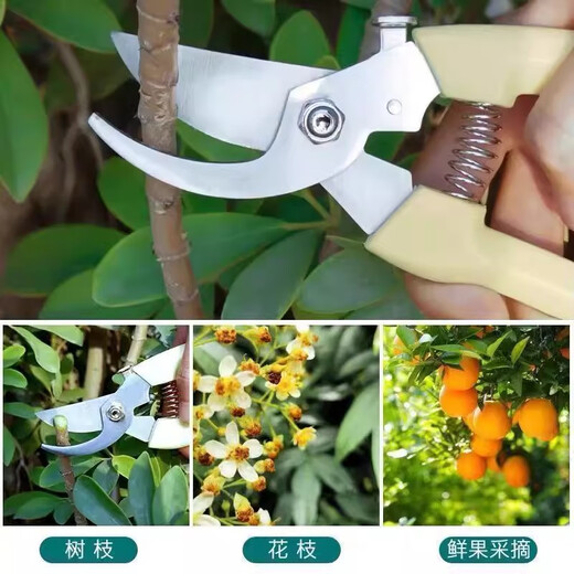 Orange Central gardening shears, powerful stainless steel labor-saving pruning pruning fruit tree thick branches special scissors