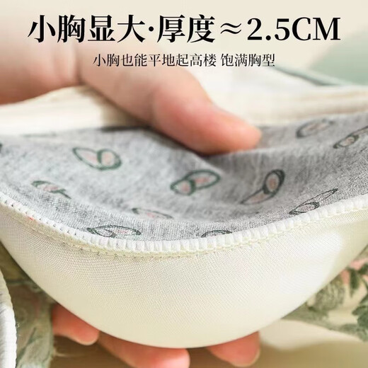 胖东来超市内衣女小胸聚拢调整型加厚上托防下垂收副乳胸罩性感无钢圈文胸 9929荷青色 85A 38_