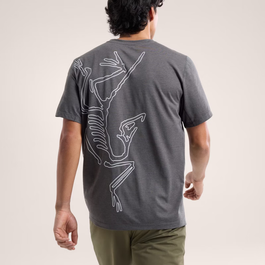 始祖鸟（ARC'TERYX）男士CormacARC'BIRD排汗速干短袖T恤X9721 红杉褐Sequoia Heather/Solari XL