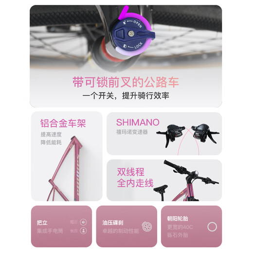 Philips (Phillips) Benjamin Series Gravel Road Bicycle adulte variable vitesse d'absorption d'amortisseur d'entrée de gamme hommes et femmes en montagne monte