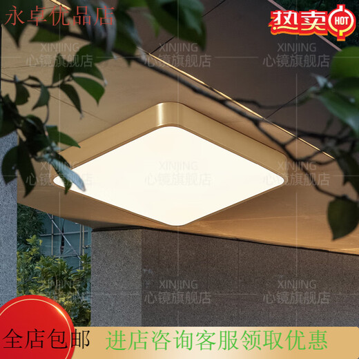 心镜全铜户外吸顶灯别墅入户门灯走廊过道阳台灯露台防蚊虫庭院灯 X3893-400/方形