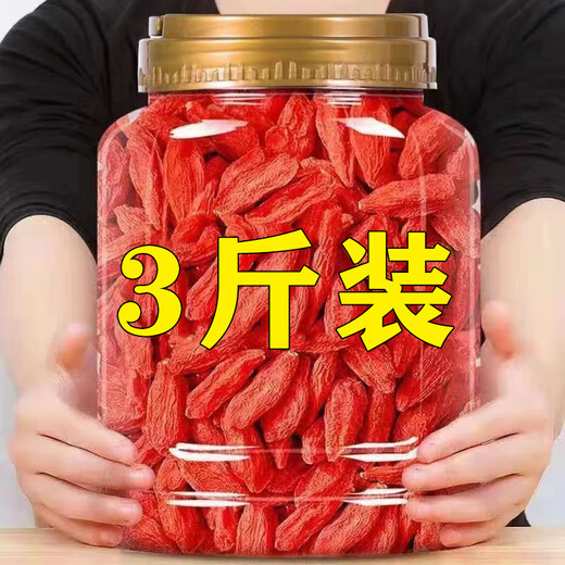 北京同仁堂3斤装新货枸杞子宁夏特级500g正宗大果颗粒红苟杞肾干 精选头茬枸杞大果500克[220粒/50