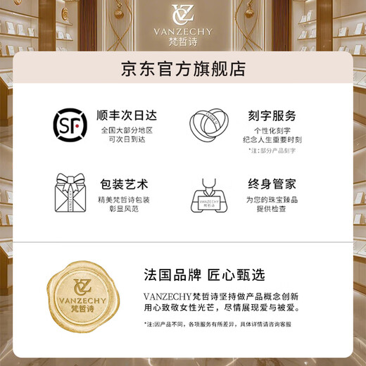 Genuine Fanzhe Poetry Wings Brooch, high-end women's light luxury and atmospheric brooch, anti-exposure corsage, Valentine's Day birthday gift for girlfriend Wings Brooch, next day delivery by air