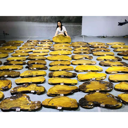 Ganzes Stück goldener Nanmu Tee Tablett Block Haus Massives Holztee -Meer Tablett Einfacher kleiner Kung Fu Tee Set Wurzelschnitztee Tisch Hellgrün H3291