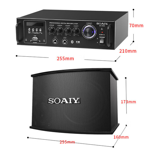 索爱（soaiy） 家庭影院KTV音响套装10英寸家用商用会议舞蹈室设备卡拉ok蓝牙功放 5.5英寸音响套装+双话筒