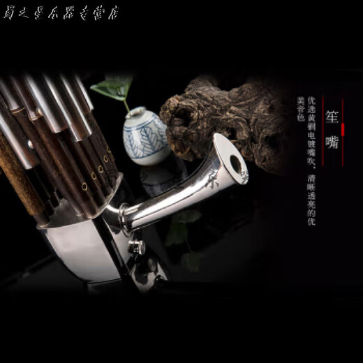 时笙笙乐器 紫竹圆笙17簧14簧扩音笙表演考级练习笙黄铜电镀笙管 芦笙全黑17簧笙(D调)