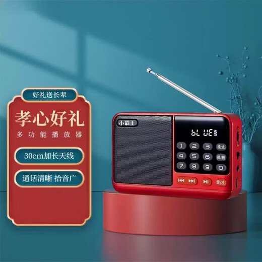 Radio Bluetooth audio player plug-in card small audio radio can be inserted into the card into the U disk into the earphones old man radio Bluetooth radio gray hot model (host + data cable + battery)