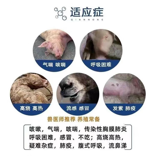 Mucan Veterinary Medicine for Severe Cough, Rotten Lungs, Pleuropneumonia, Pigs, Cattle, Sheep, Cough and Asthma, Porcine Pleural Pneumonia, Equine Cough and Asthma, Specially Available for Pregnant Animals, Cough and Asthma, Rotten Feikang Injection (1 set of 3 boxes) A+B+C