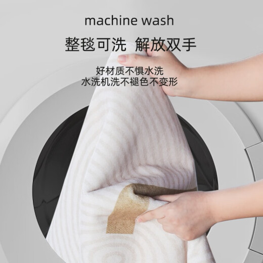 Carpet Bedroom Bedside Carpet Light luxury Non-care Home Living Room Coffee Table Blanket Machine Washed Bathroom Floor Mat Qingyun-13786 120x240cm