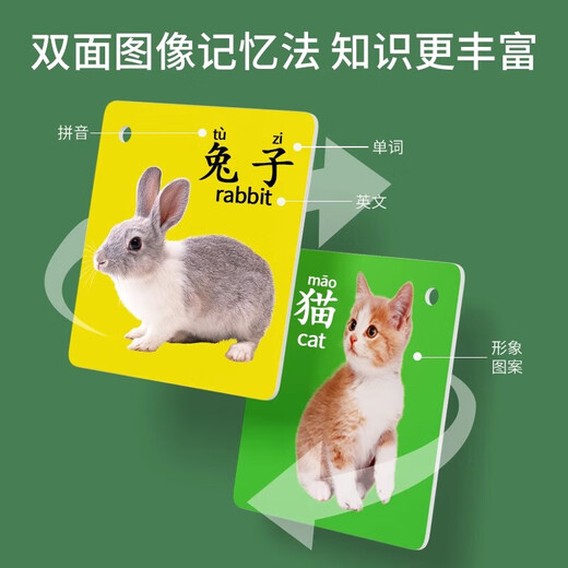 Tarjeta de animales Educación temprana Libro de iluminación cognitiva Alfabetización infantil Baby Mire las fotos y las imágenes Pictures de la educación digital para niños Juguetes Mundo de los animales