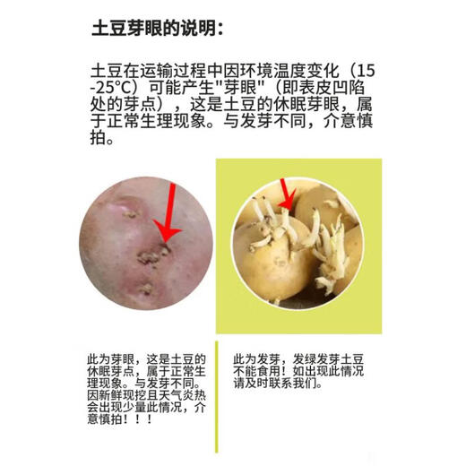 Действительно дешевый картофель с красной кожурой, плато с желтой серединкой, красный картофель с желтой серединкой, овощи и фрукты, картофель с красной кожурой, 1 Цзинь Цзинь равен 0,5 кг, 1-3 таэля на фрукт