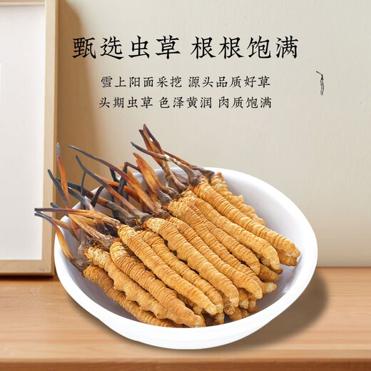 Cordyceps Dried Goods Authentic Cordyceps Gift Box Cordyceps Wangxiong Fengdao Nourishing and Healthy Cordyceps Three Roots One Gram 100 Roots Boxed