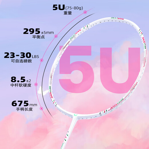 Witness Badminton Racket YB682 Single Shot Ultralight Full Carbon Carbon Fiber Offensive Professional Training Eyewitness Series [YB684-White Line] Single Pull Line 30 pounds - Professional Expert