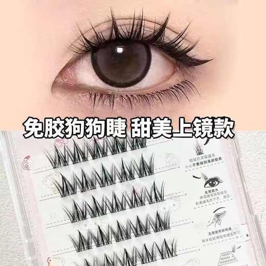 Eyelashes 100 clusters large capacity glue-free small dog false eyelashes for lazy people thick natural cartoon simulation segmented new style 100 clusters canine glue-free false eyelashes glue-free and easy to use to make your eyes bigger in seconds