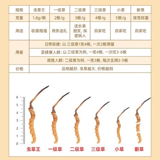The high-end gift box and supplements for Cordyceps sinensis are given to elders. New dried Cordyceps sinensis is given to the elderly. 3 pieces/g 20 grams. 60 pieces in total.