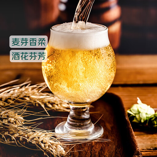 Tsingtao Beer Classic Lager 10 P 618ml
