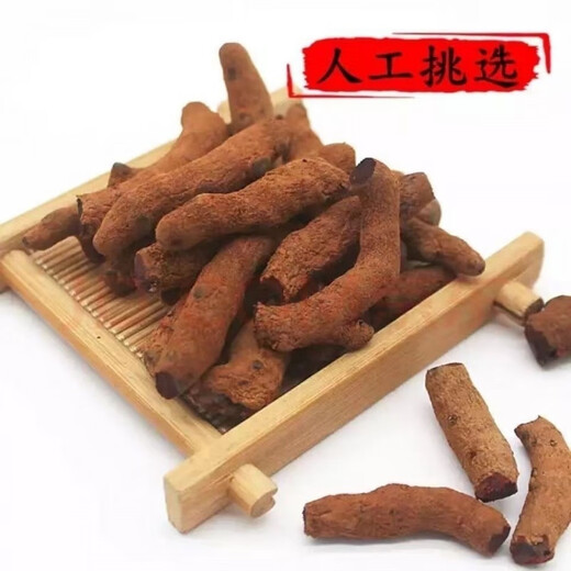 北京同仁堂血三七 云南野生血三七泡酒中药材药酒磨粉 云南野生血三七500克+金丝皇菊一