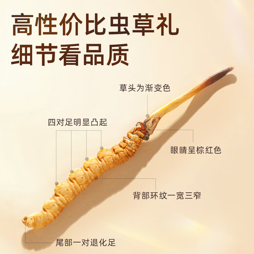 
Purple and blue flower sea Cordyceps sinensis 3 roots/g 10g new dried Cordyceps gift box in high-quality tonics [Healthy Gift Box]