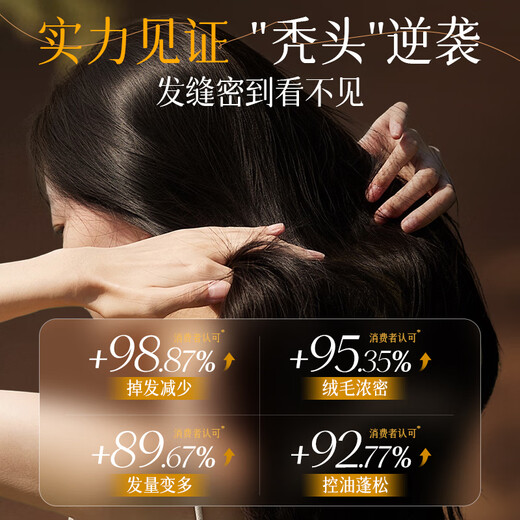 Ruyi (Ruyi) Anti-Haar-Verlust Shampoo 500G Ingwer, Orchidopsia Blatt Massivhaaröl-Kontrolle Anti-Tandruff-Creme für Männer und Frauen Nr. 1 1