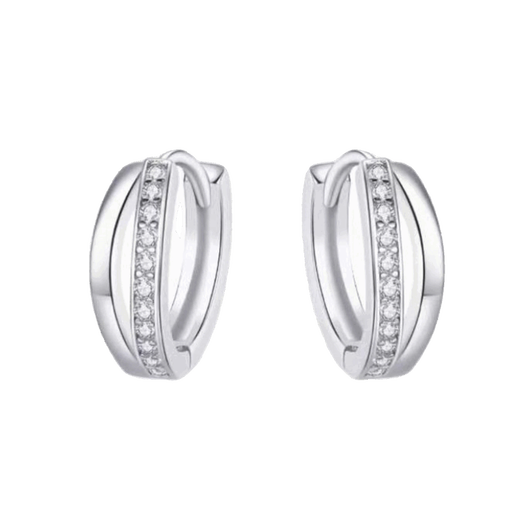 PT950 platinum moissanite double hoop earrings for women, high-end platinum earrings, earrings, temperament, internet celebrity earrings gifts, platinum double hoops, earrings
