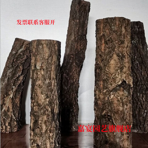 Champagne trunk underwater forest ornaments decoration pure natural water and land tank rainforest tank landscaping climbing pet turtle sun terrace 6-8 cm in diameter and 30 cm long