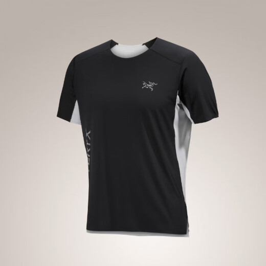 Archaeoptera Bird (Arc'teryx) Archaeoptera Bird Norvan Downword Logo SS Camiseta de manga corta Men 9720 [ADD/858] Forraje/Tatsu Misty Green S