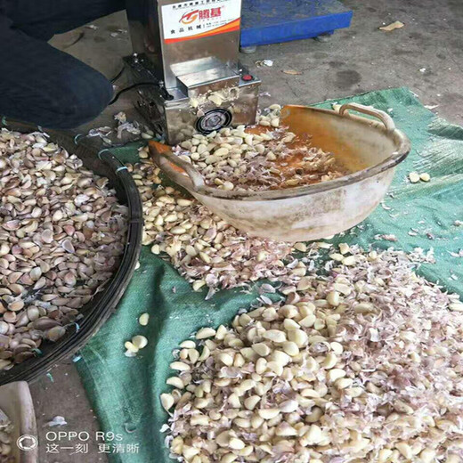 Yong Huan Garlic Peeling Artifact Fully Automatic Commercial Electric Garlic Peeling Machine Stainless Steel Peeling Machine Peeling Machine Restaurant Garlic Whole Garlic Style