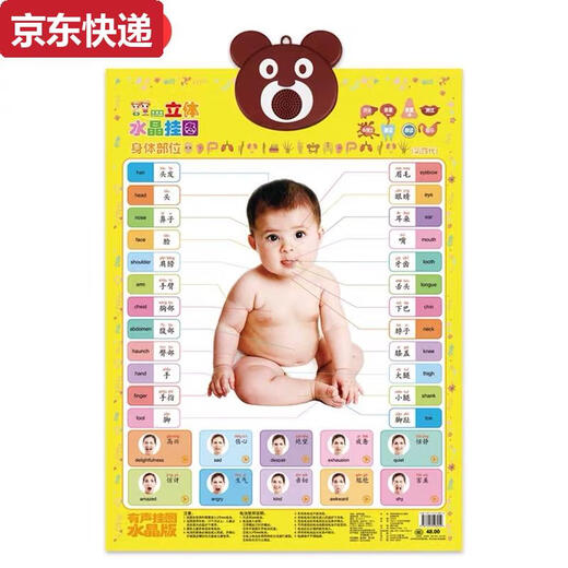 奇立彩宝宝人物动物字母认数字颜色认知卡片有声点读发声挂图画早教玩具 宝宝自我认知