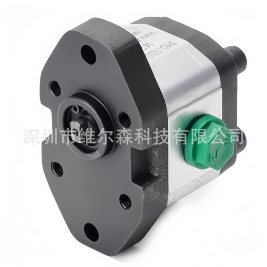 GJXBP Gear Pump 1PLK15054DE10 Roquet