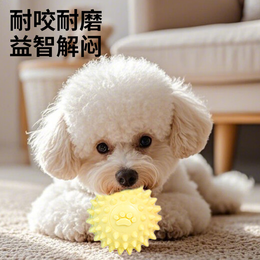 ZanChong Macaron Dog Toy 4-piece Set Teething Resistance and Bite Resistance Universal Dog Training Interactive Self-Enjoyment and Boredom Relief TPR Rubber Ball