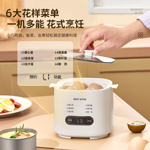 Egg cooker, steamer, electric steamer, small stewing and steaming all-in-one small steamer, omelette pot, small steamed egg artifact, household dormitory electric frying pan, small appliance, small electric cooker, double layer, with steamed egg rack + stainless steel custard bowl, 6 major functions
