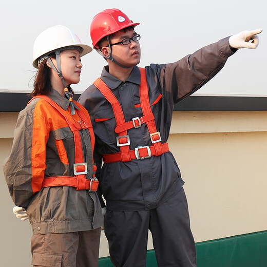 Yuanbang Jingcang Express Delivery High Altitude Work Safety Belt Safety Belt Safety Rope Three-Point Safety Belt Red Upper Body Belt Next Day Delivery 3 Meter Rope No. 10 Hook