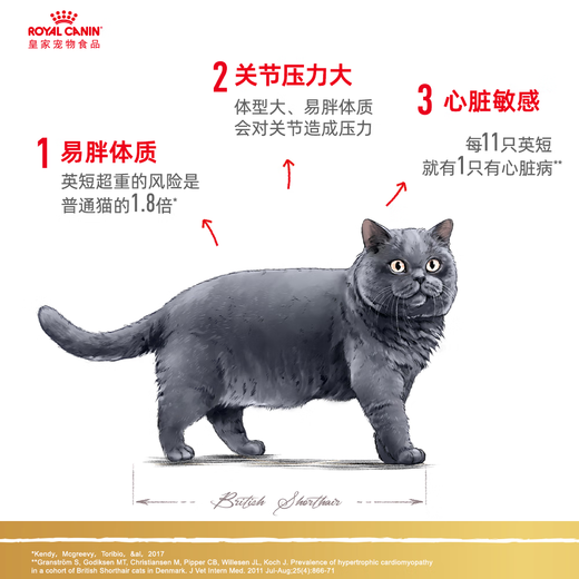 Royal Cat Food 10kg British Shorthair Cat Food Adult Cat Food Ragdoll American Shorthair Persian Tabby Blue Cat Special Full Price Cat Food General Food BS34 British Shorthair Adult Cat Food 2kg