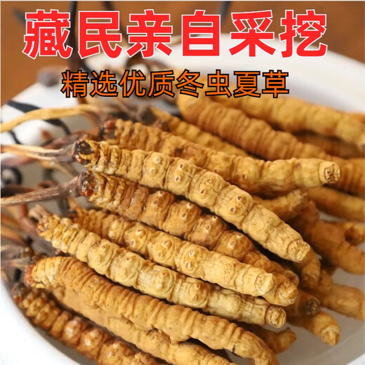 Новая сушящая подарочная подарочная коробка Cordyceps от Kangsil Authentic Dired Cordycess, чтобы подарить подарки для питания и питания качества отбора Cordyceps для старейшин Tibet Nagqu Cordyceps около 3 корней/грамм 40 корней (подарочная коробка)