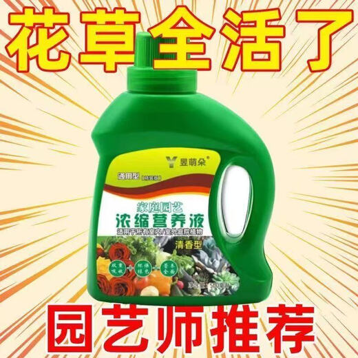 Nutrient solution plant universal flower fertilizer fortune tree rich bamboo green dill hydroponic potted household flower fertilizer universal nutrient solution 500g 2 bottles