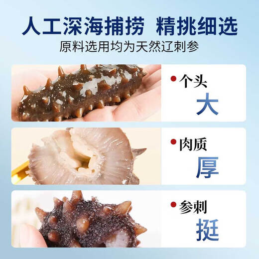 Xiaobing Sea Cucumber Fresh Ready-to-Eat Sea Cucumber Fresh Sea Cucumber Official Store Flagship Store Sea Cucumber Nutritional Gifts for Elders 1 Jin Jin equals 0.5 kg (taste pack) 7-9 pieces/Jin Jin equals 0.5 kg