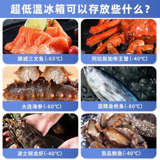 Congelador de temperatura ultra baja Bingxiong Minus 40 grados/65 grados/86 grados Refrigerador mariscos de mariscos