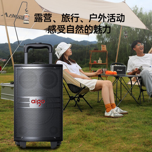 Patriot S308 8-inch square dance audio outdoor high-volume Bluetooth trolley speaker high-power portable mobile performance karaoke subwoofer street stall speaker single microphone