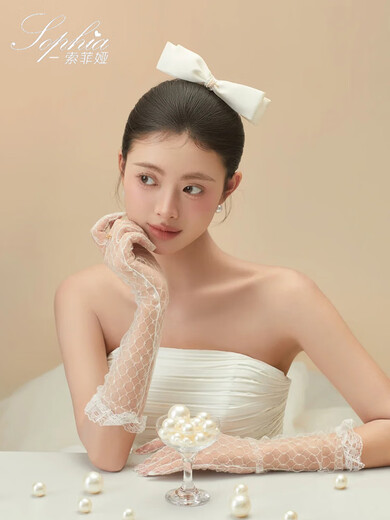 Hao Chuang Lace Mesh Handschuhe Braut Hochzeitskleid Französisch Retro Accessoires Weiße Langarm -Langarmes, die Armfoto Requisiten weiße Spitzennetzhandschuhe, ca. 23 cm