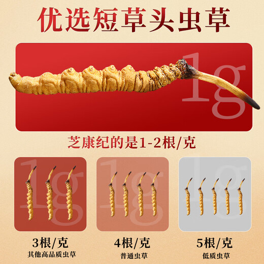 芝康纪冬虫夏草官方旗舰店正品特级虫草礼盒滋补营养品高端送礼送父母 2根/克 10g（臻品礼盒）