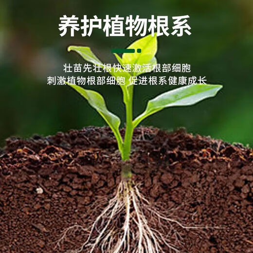 Powerful Rooting Powder Rapid Rooting and Seedling Strengthening Agent Rooting Powder Rapid Rooting Powerful Rooting Liquid Rooting Powder for Transplanting Rooting Powder 1Jin Jin is equal to 0.5kg, packed in 2 packs