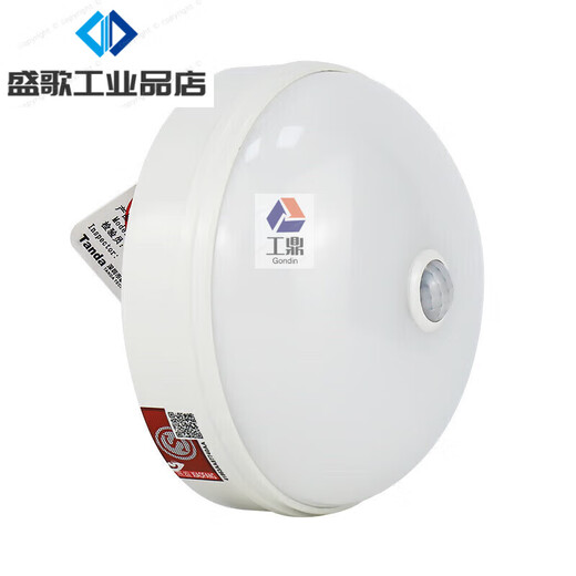 Taihe An centralized power control fire emergency lighting fixture ceiling recessed wall evacuation lighting indicator light TS-ZFJC-E8W-6627A