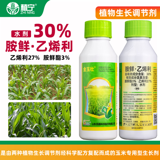 Planting 30% ethyl ethylamine corn stalk thick shrinkage control growth resistance lodging short stature regulating growth pesticide 30g * 10 bottles