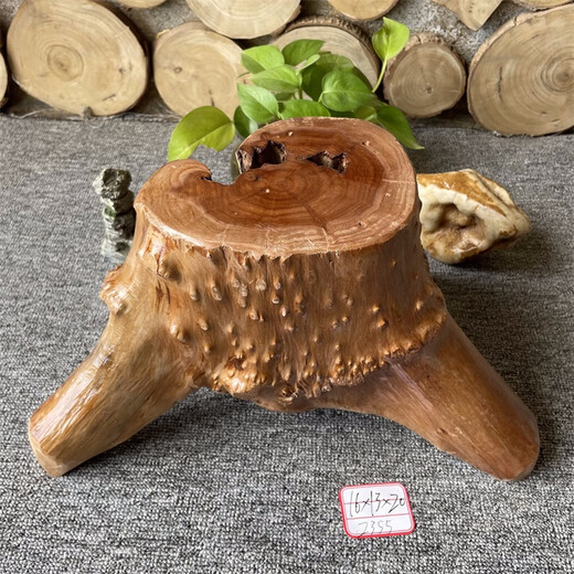 Xmsj racine sculpture bas petit bois massif root root stony arbre arbre souche nouvelle édition limitée bolconie du balcon