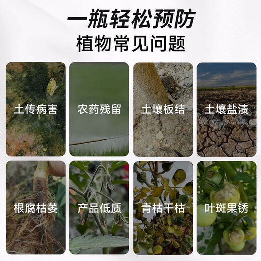 Anxiaoran microbial inoculants and fertilizers promote seedlings, strengthen roots, prevent diseases and increase yields in sugar cane and rice farmland. Genuine. 1 bottle*120ml bottle. Expensive in shipping costs.