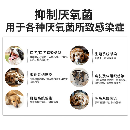 ERGOBABY for pets, bad breath, stomatitis, toothache, gingivitis, redness, swelling, periodontitis, oral ulcers, antiprotozoal metronidazole tablets