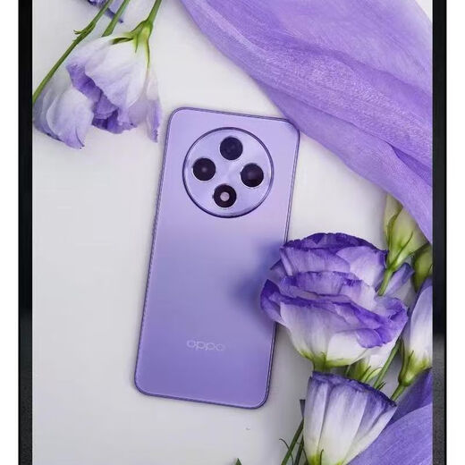 OPPOA3 5G Mobile Phone Snapdragon 695 Процессор 6,7-дюймовый размер экрана 5000 мАч емкость батареи OPPO A3 [Shanjian Green] + аксессуары 12 ГБ + 512 ГБ [пакет один]