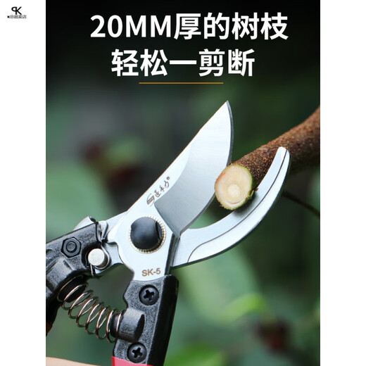 修剪树枝剪刀强力粗枝剪省力家用SK5钢园林园艺剪刀果树工具 14116不锈钢修枝剪+黑色超速锯